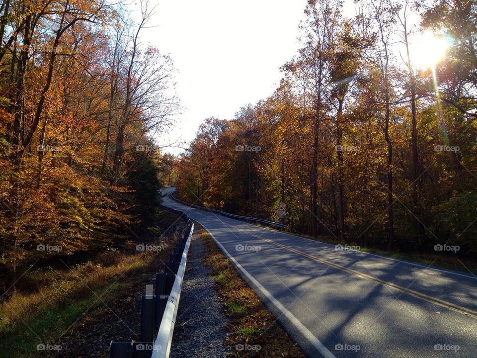 Fall road 