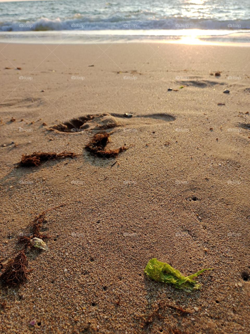 Sand beach with waves