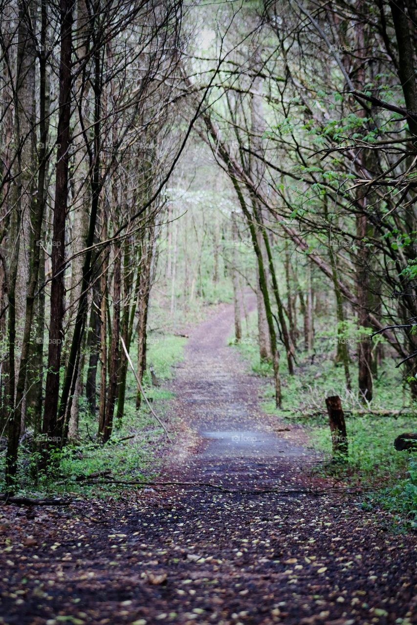 Fall is the perfect time to take a hike at Dunbar Cave State Park, with many trails to choose from