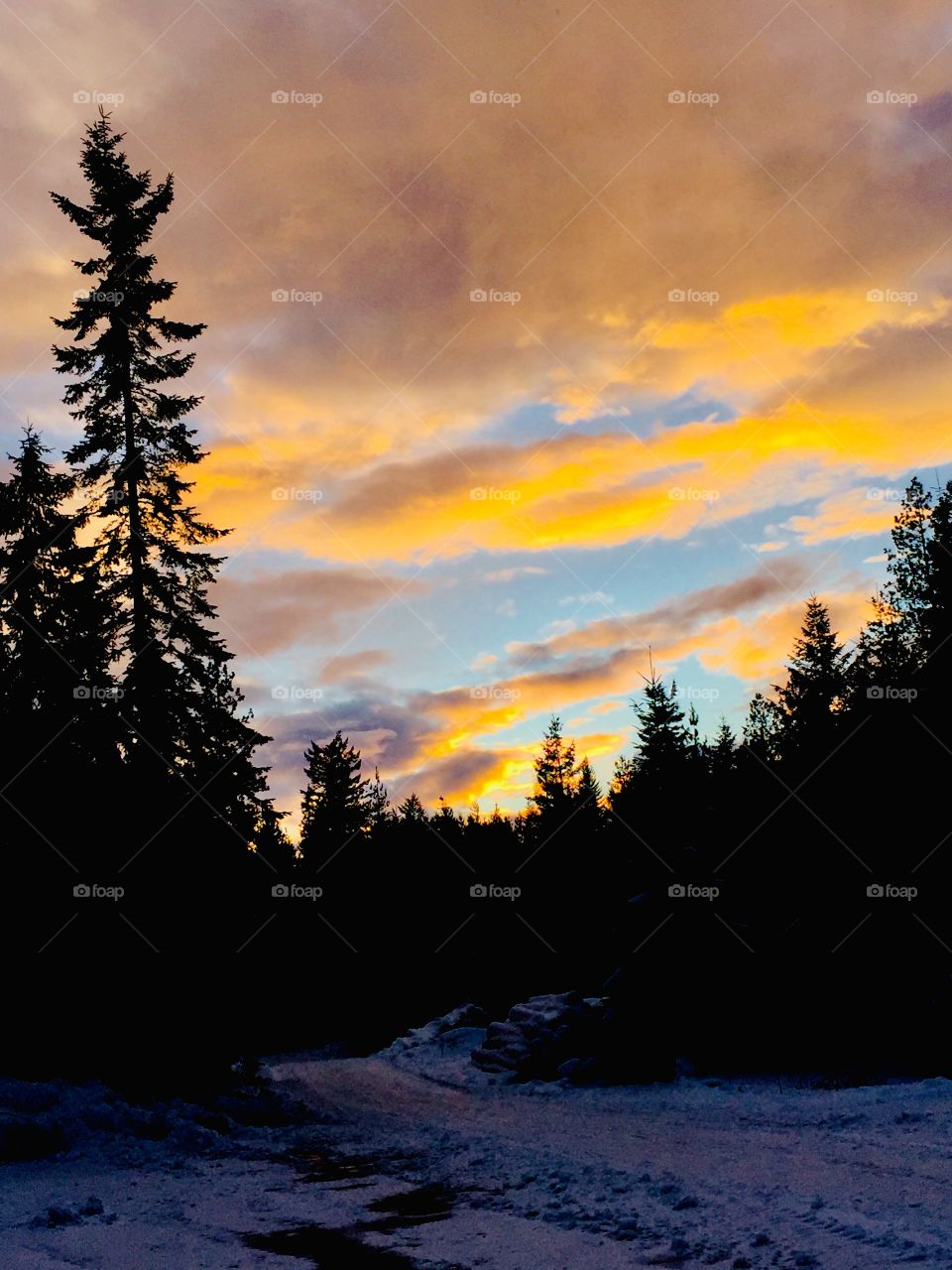 Montana winter sunset 