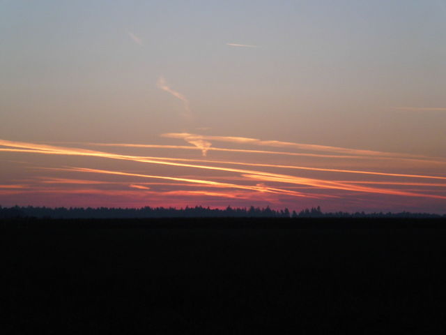 Landschaft 