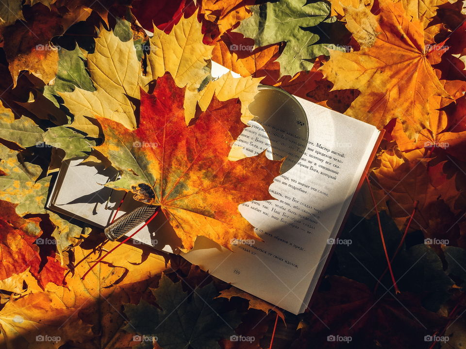 Autumn flat lay with book, magnifier and color leaves