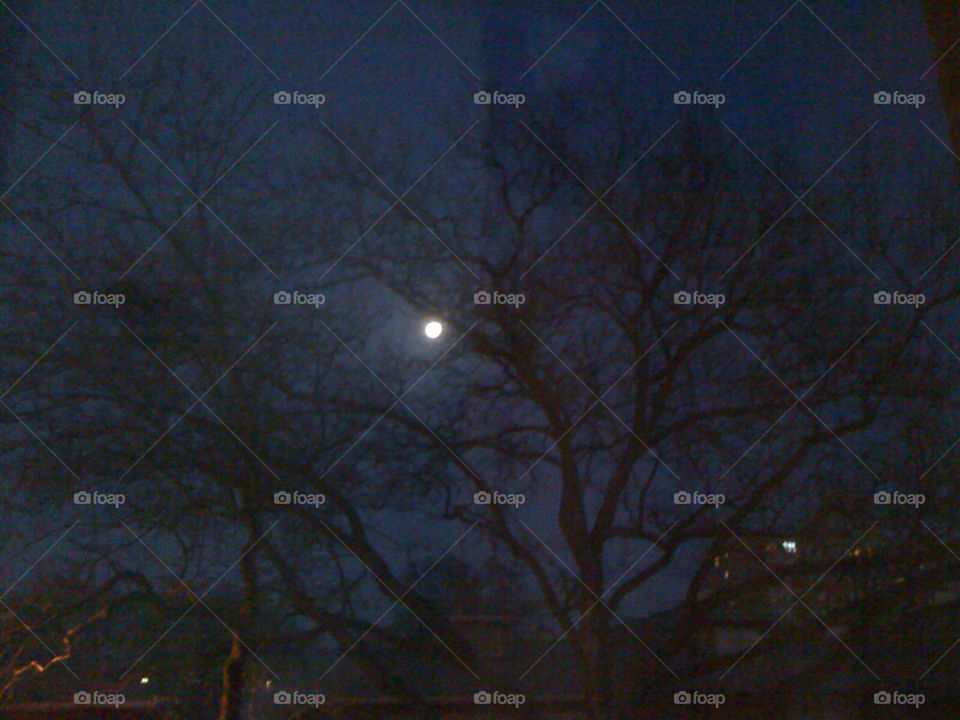 dark romance moon mystery by michaella