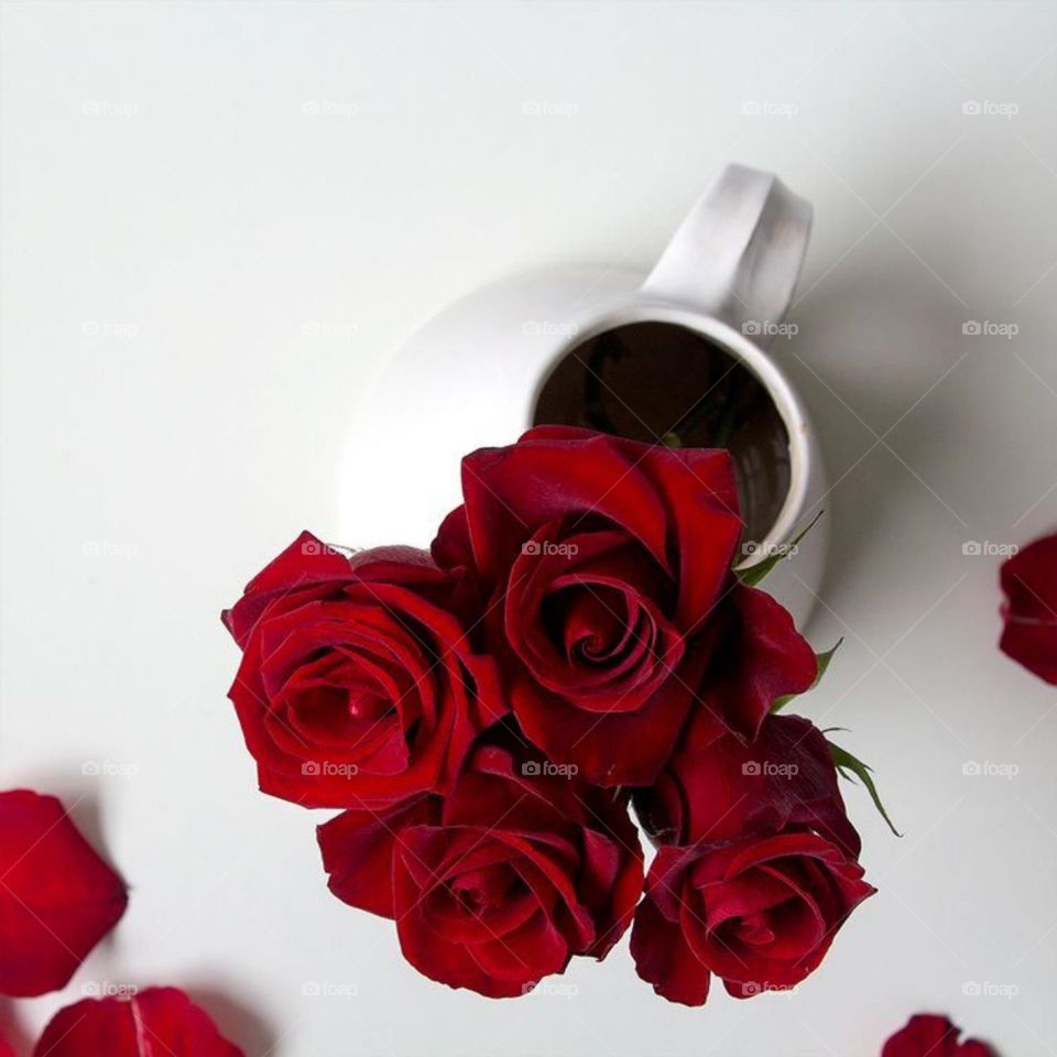 Serve a cup of coffee with flowers and orange slices