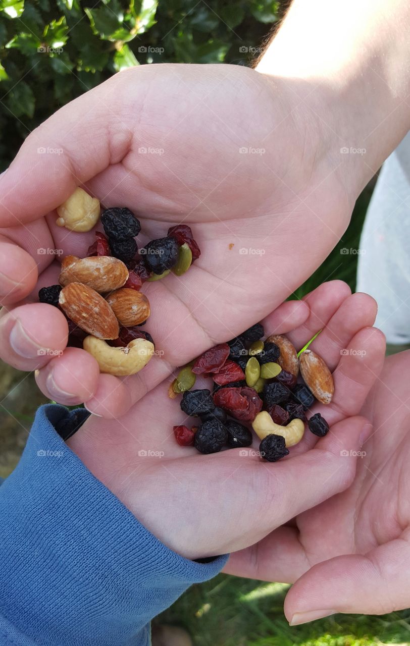 A handful of nature's snack. Nuts , berries and seeds.