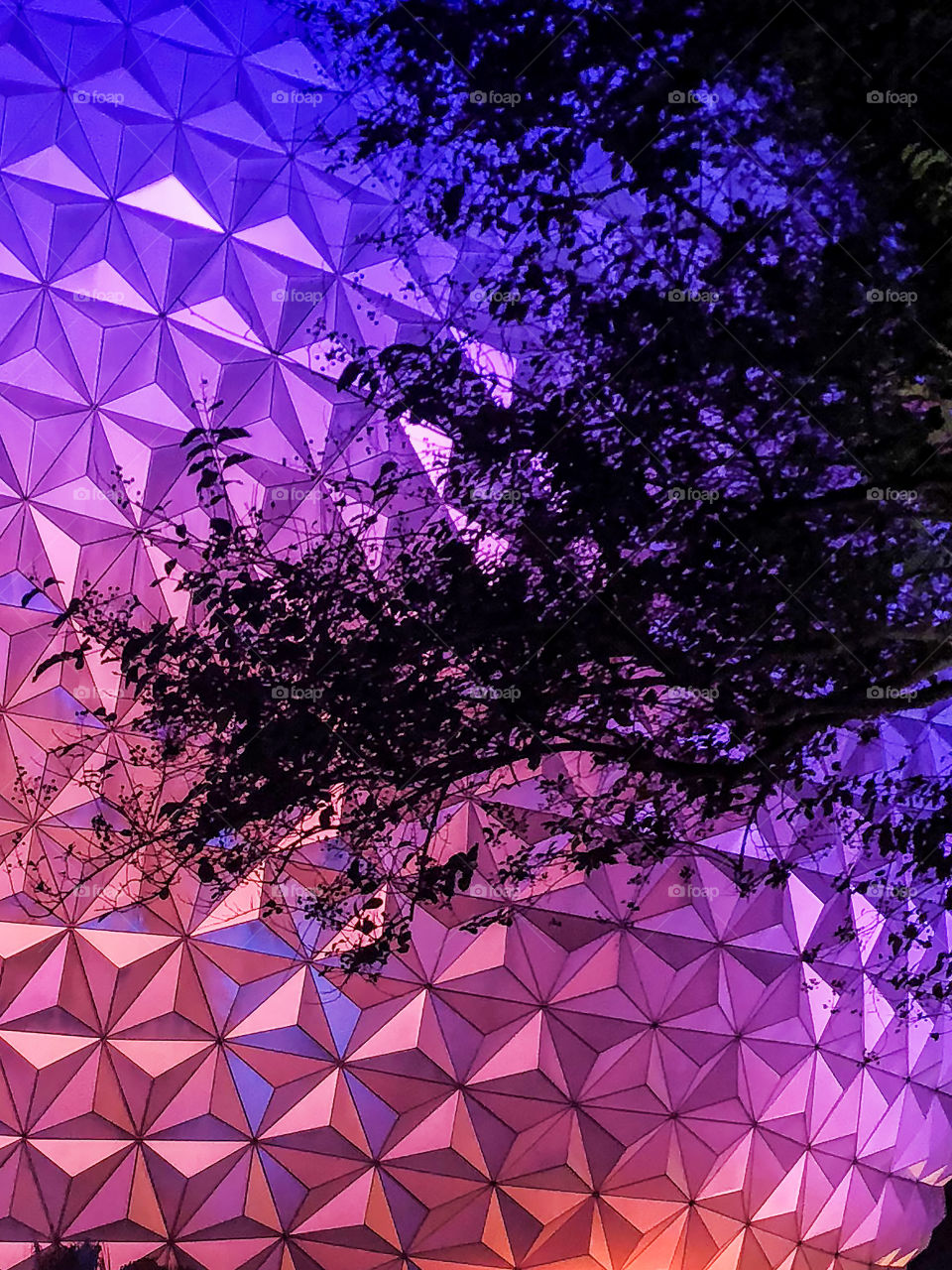 Tree branch in front of geometric building