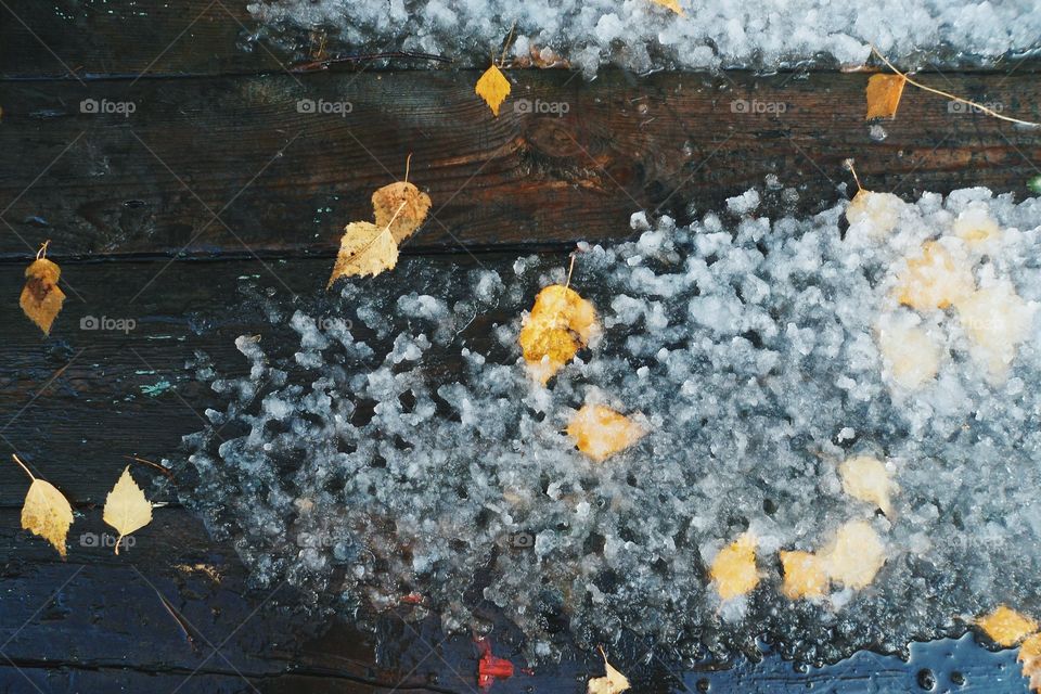 wet snow and yellow leaves on an old table