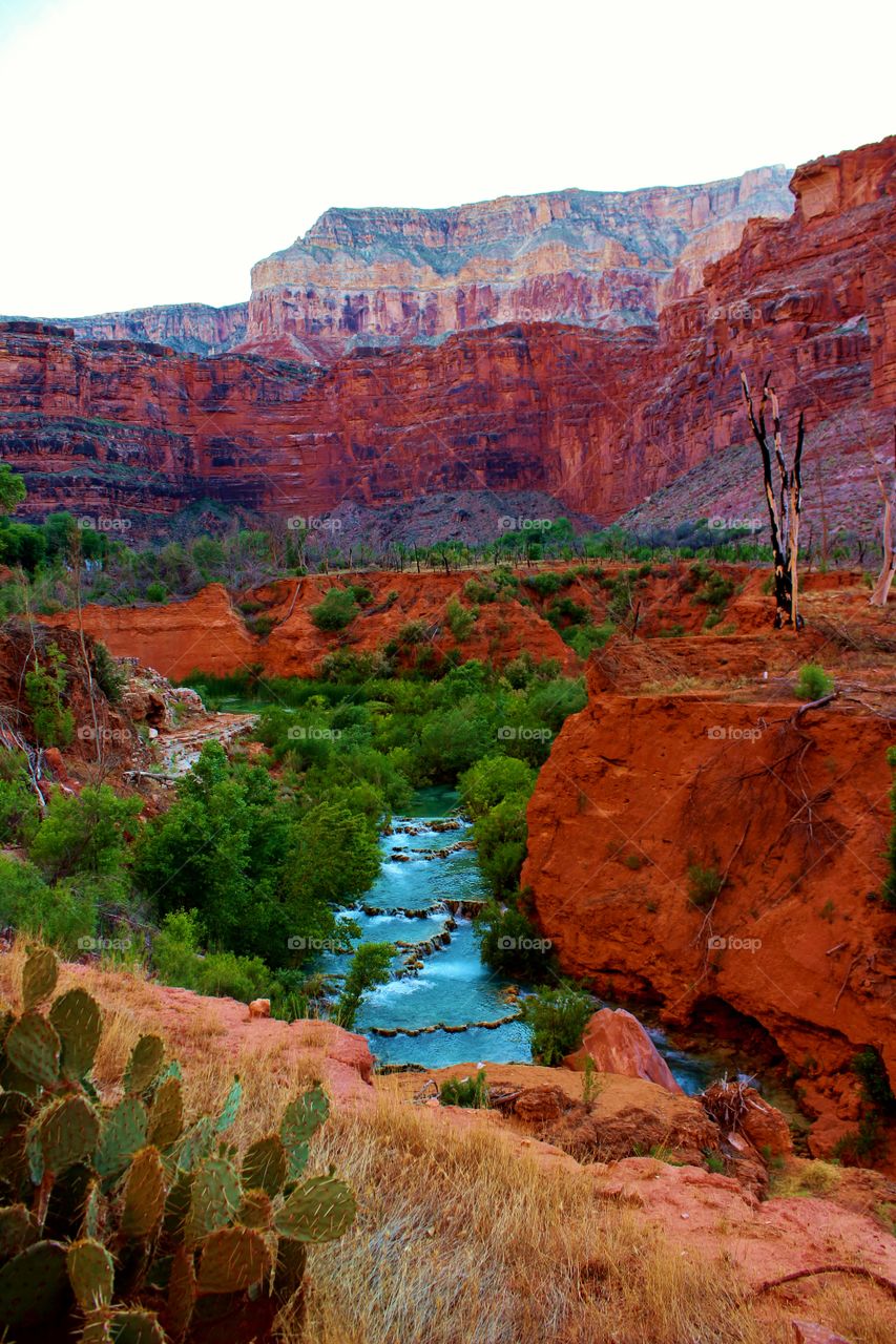 Havasu Creek flowing through the Grand Canyon