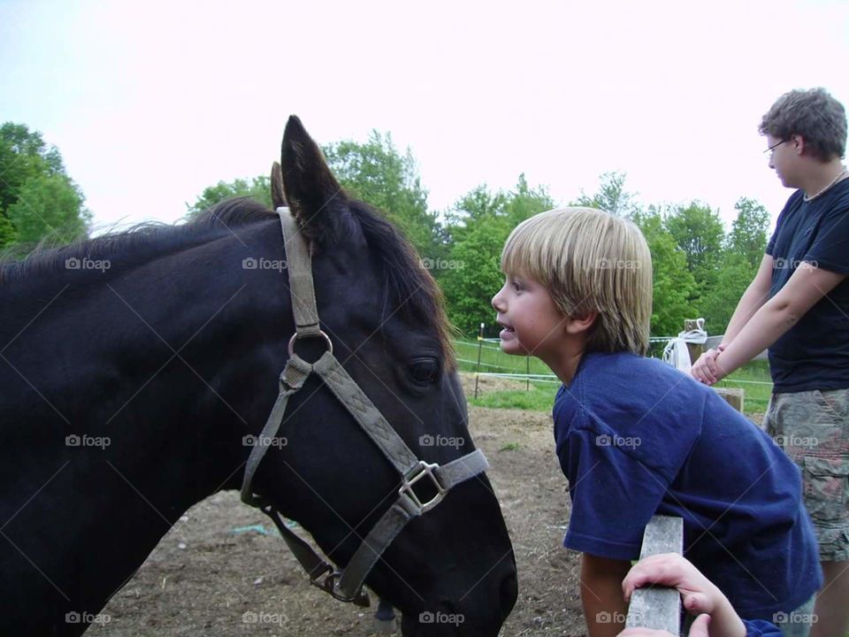 horse love