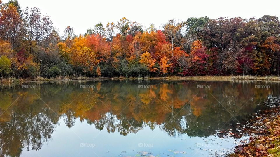 Autumn at Gilley's Pond
Rocky Mount, Virginia