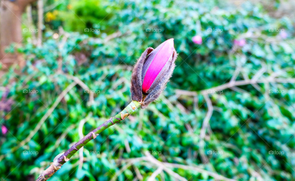 Early signs of spring