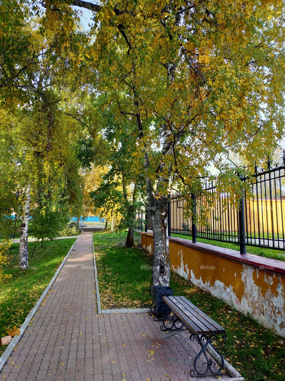 Autumn in Siberia. Yeniseisk. Russia.