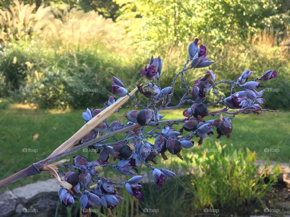 End of summer in park