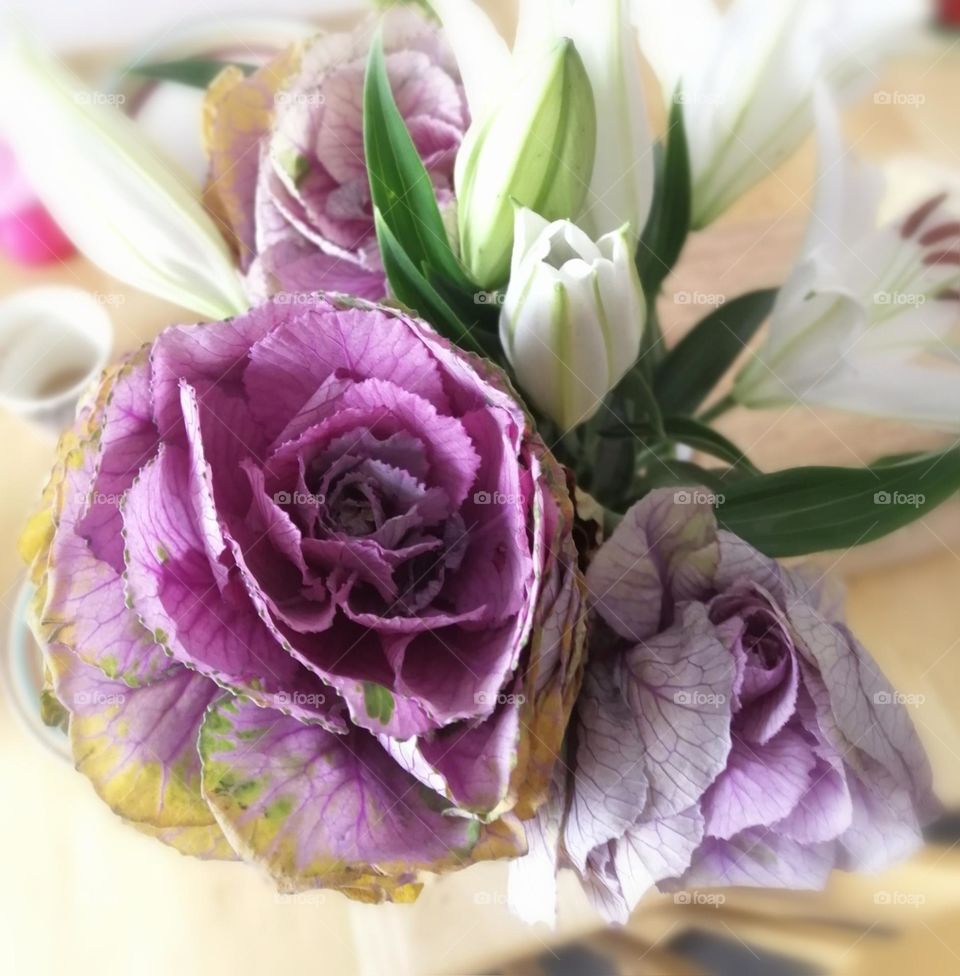 Purple cabage flower