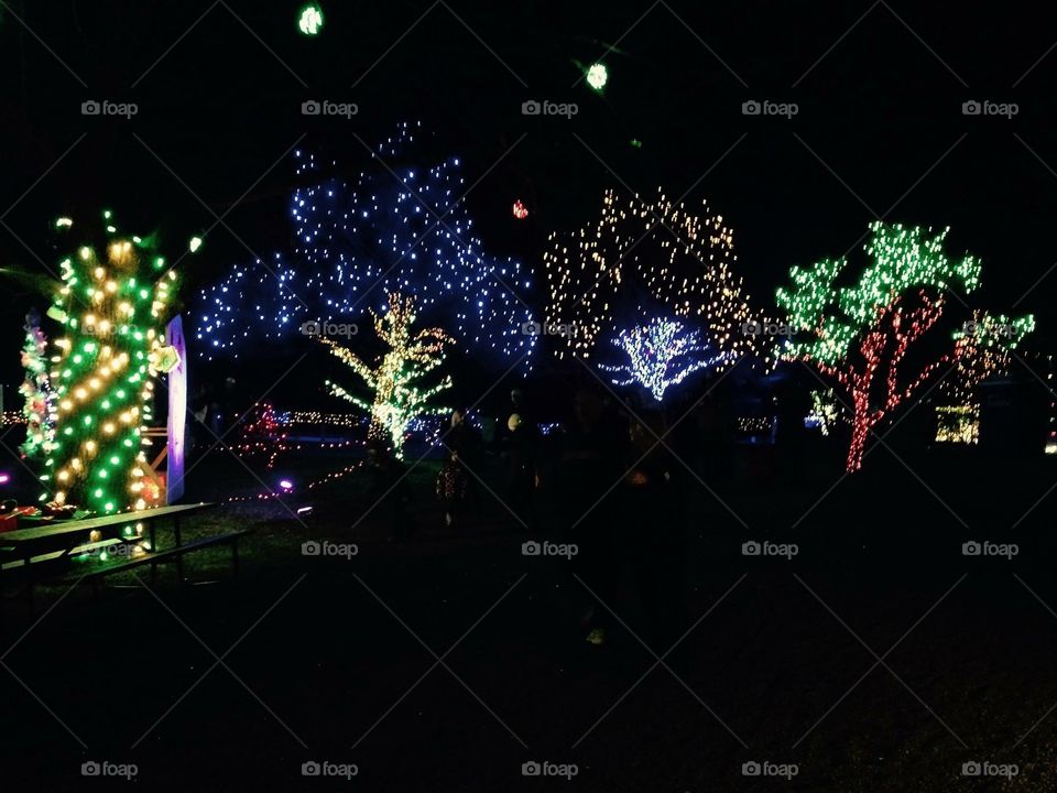 Lehigh Valley Zoo Christmas display