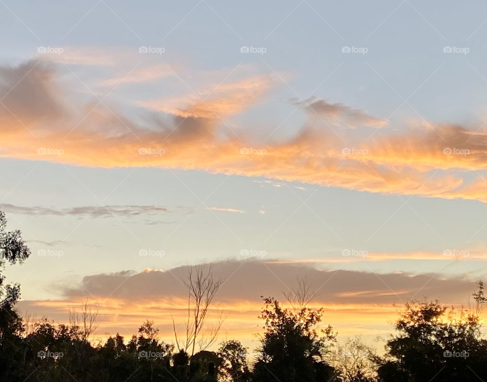 A beautiful morning sky at dawn with orange and purple fluffy clouds against a blue sky above some trees