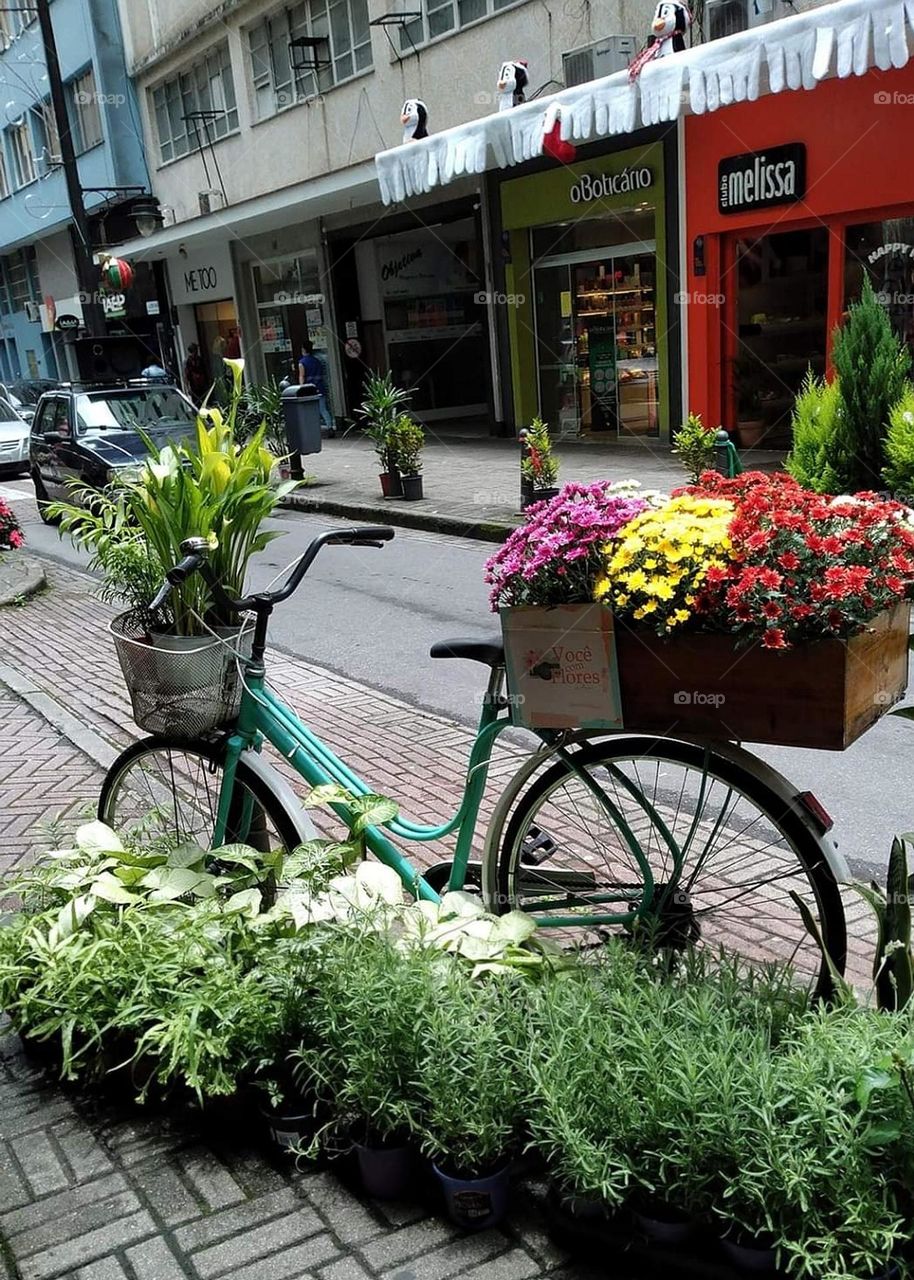 Bicicleta florida