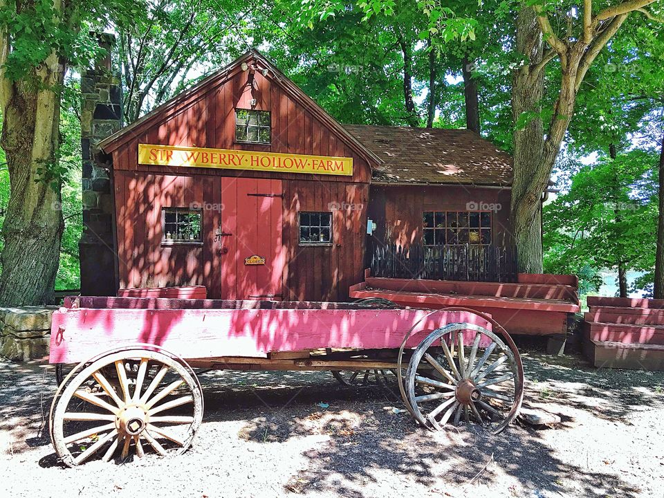 Strawberry Hollow Farm