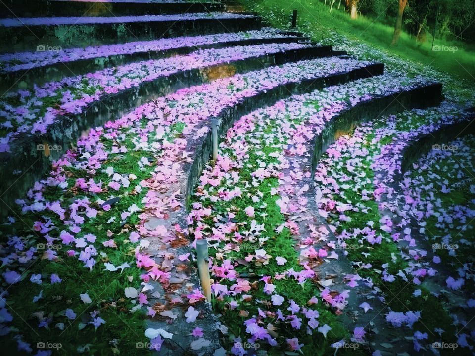 beautiful place in sri lanka