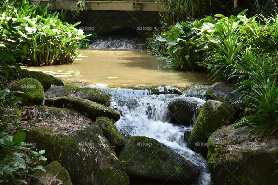 small waterfall in the park