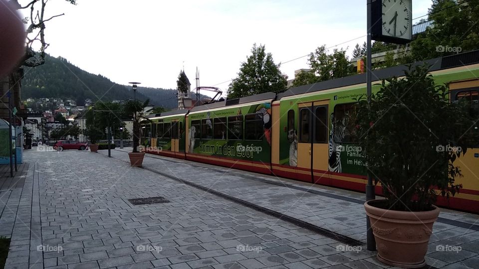 Kurpark in Bad Wildbad