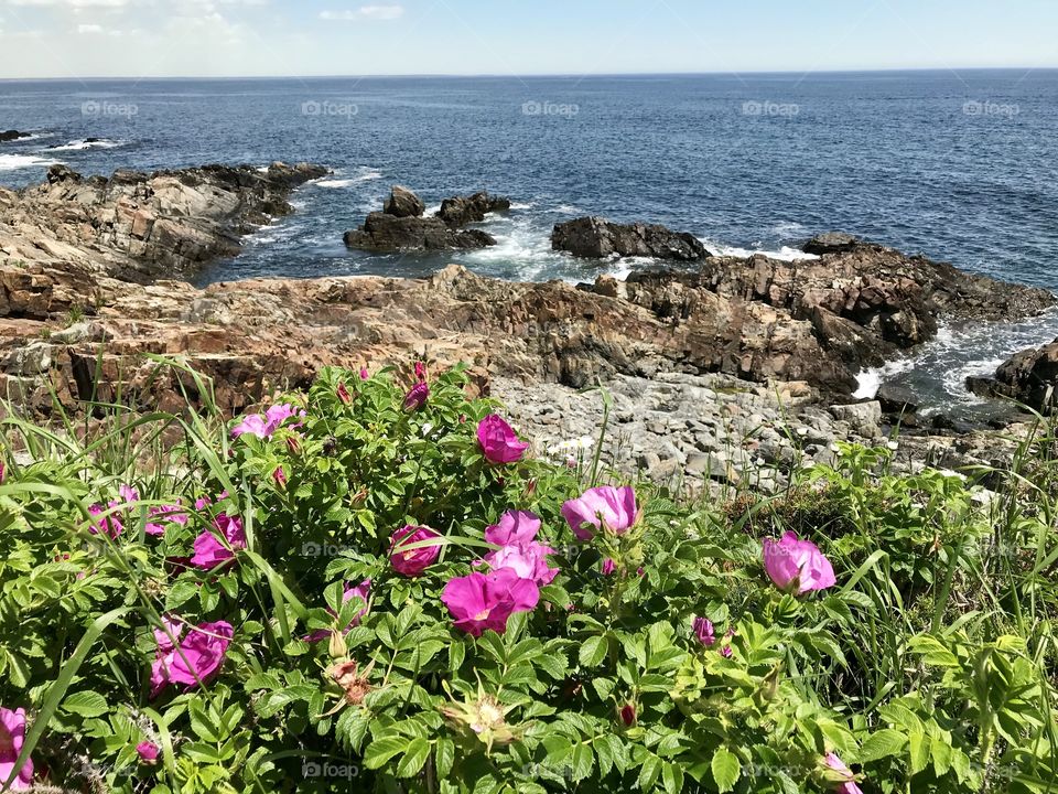 Ogunquit, ME