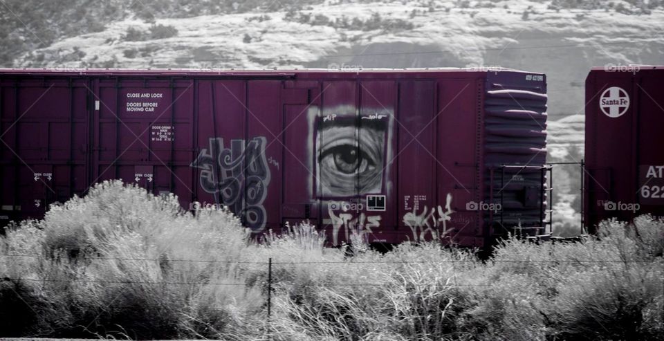 Train boxcar graffiti art