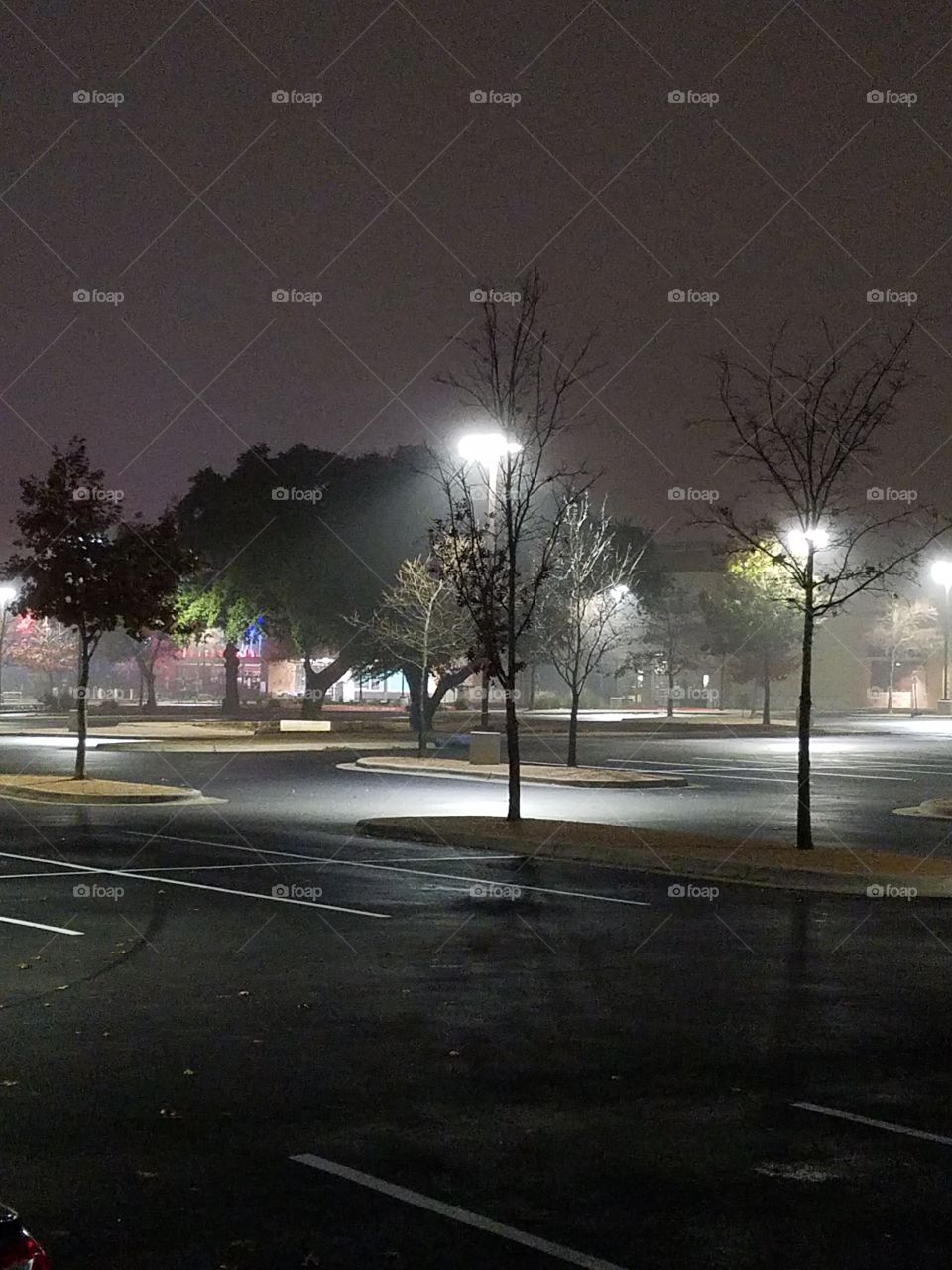 foggy nights in suburbia