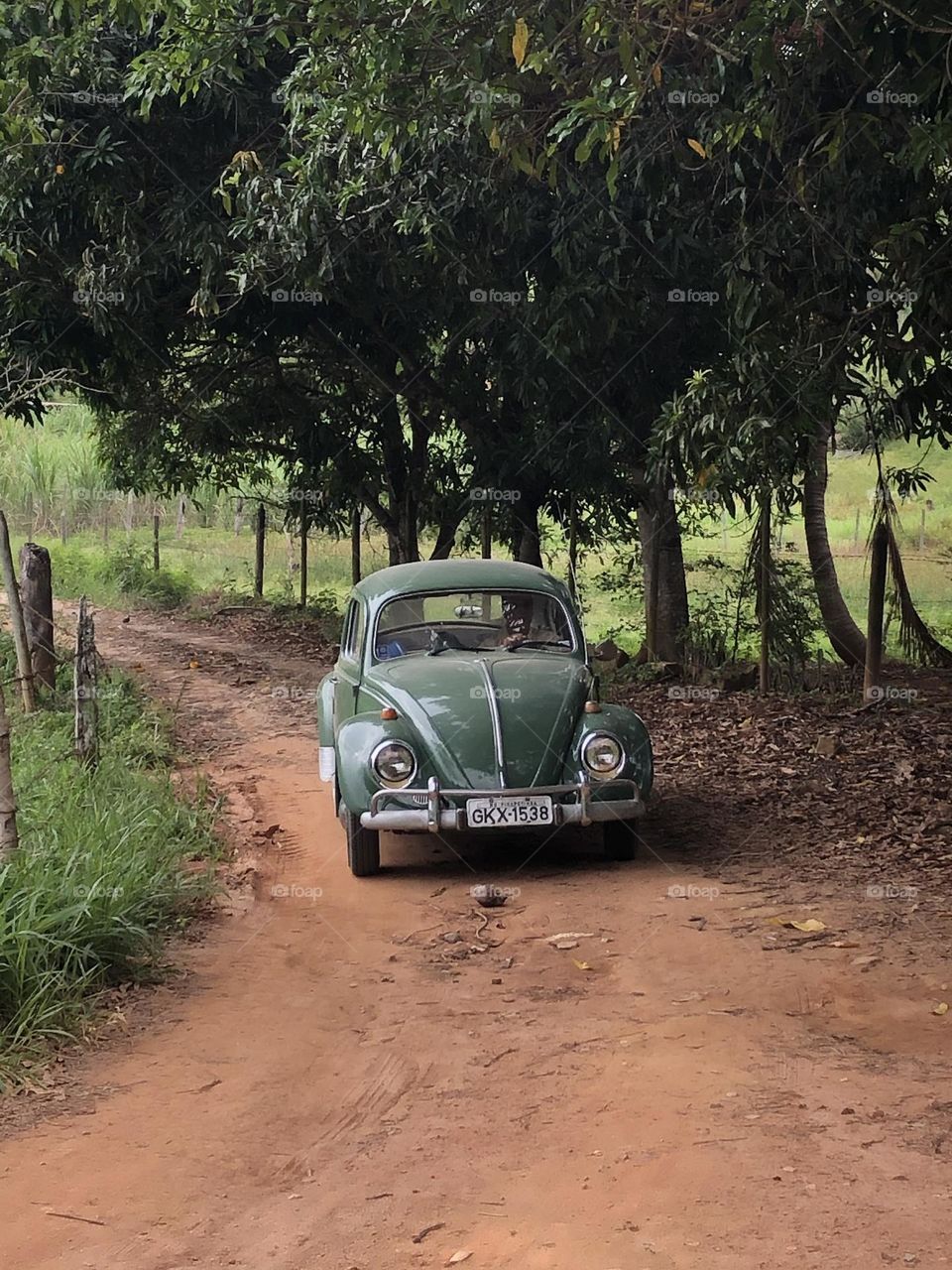 Fusca verde 