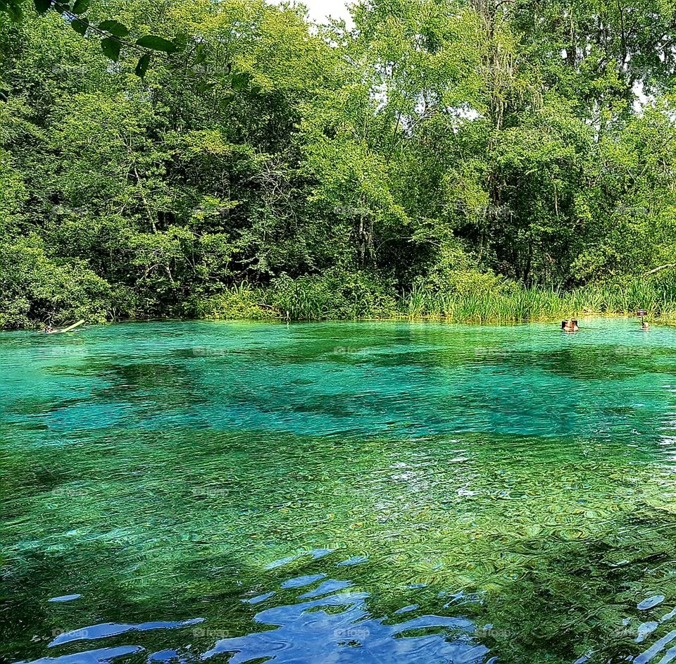 Beautiful deep blue clear water spring in northern Florida.