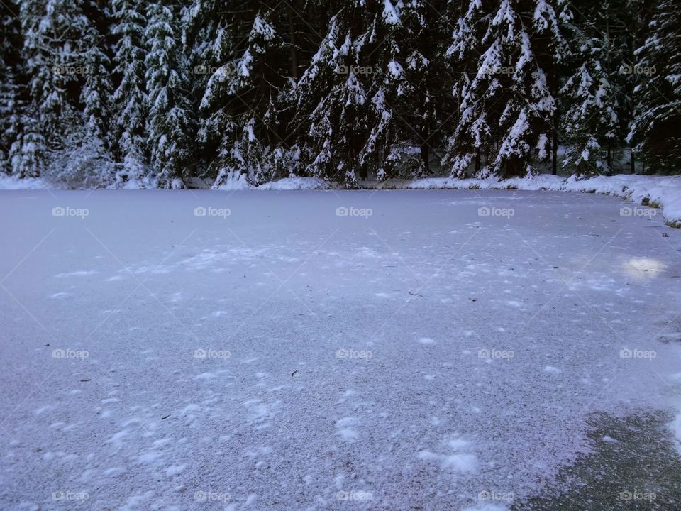 Frozen pond