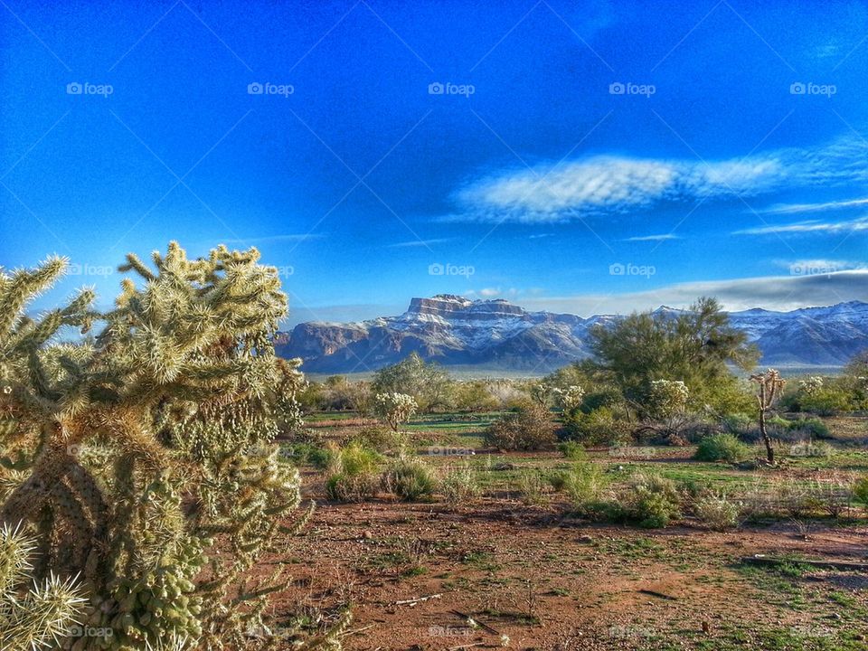 superstition springs