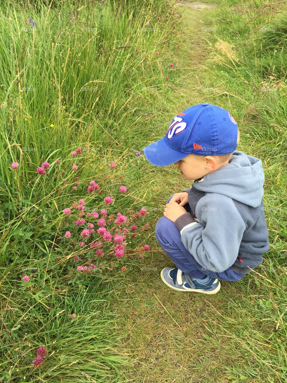 Boy picks red clover