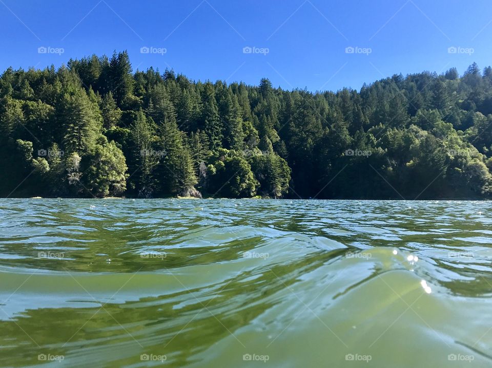 Santa Cruz Mountains, CA. Calm and quiet lake