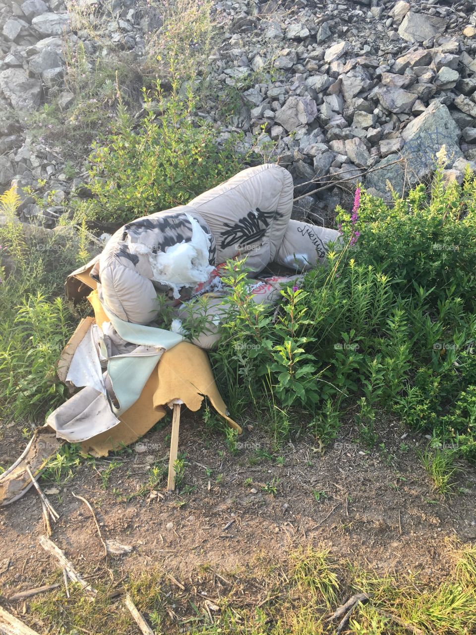 One man's trash is another man's treasure 