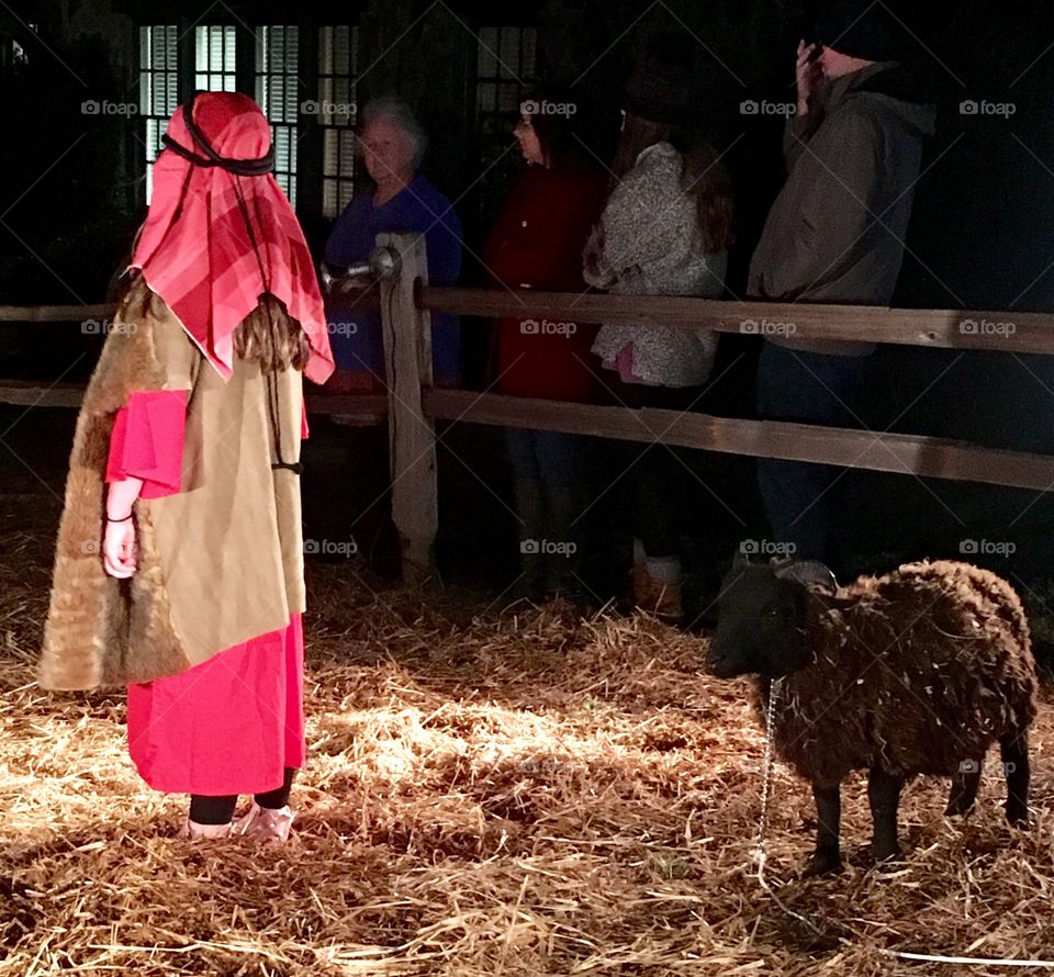 Shepherd child with black sheep