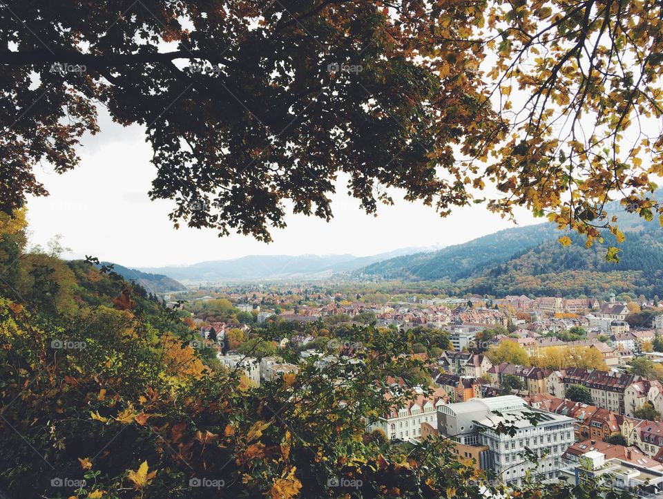 panorama view freiburg