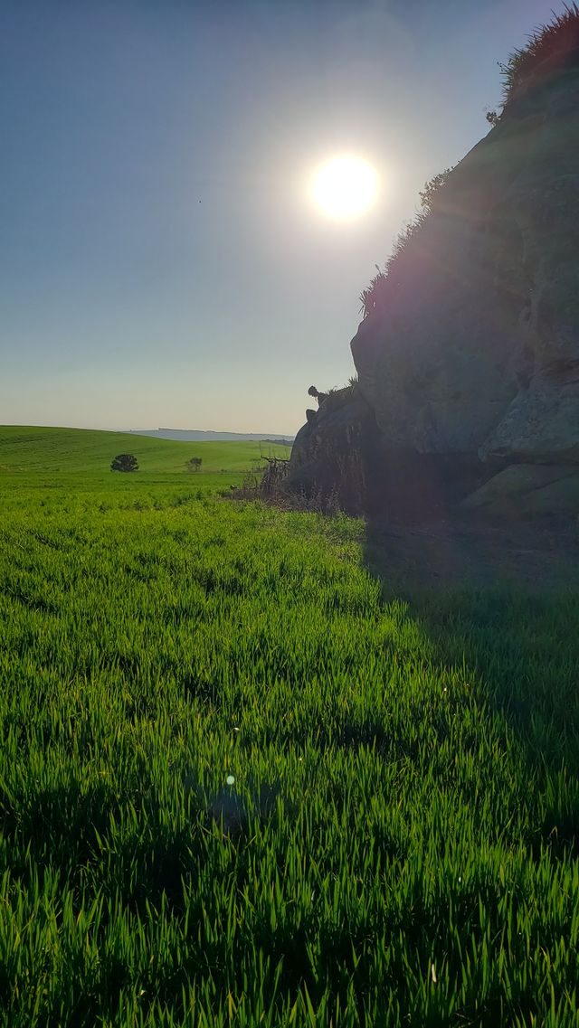 Sun