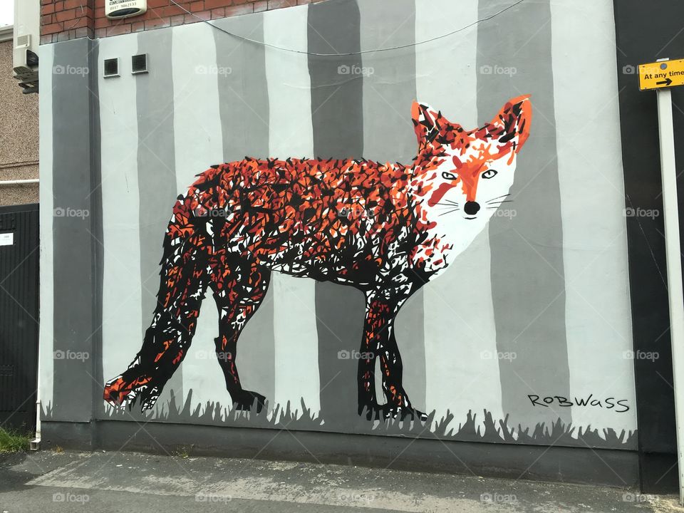 Urban Fox