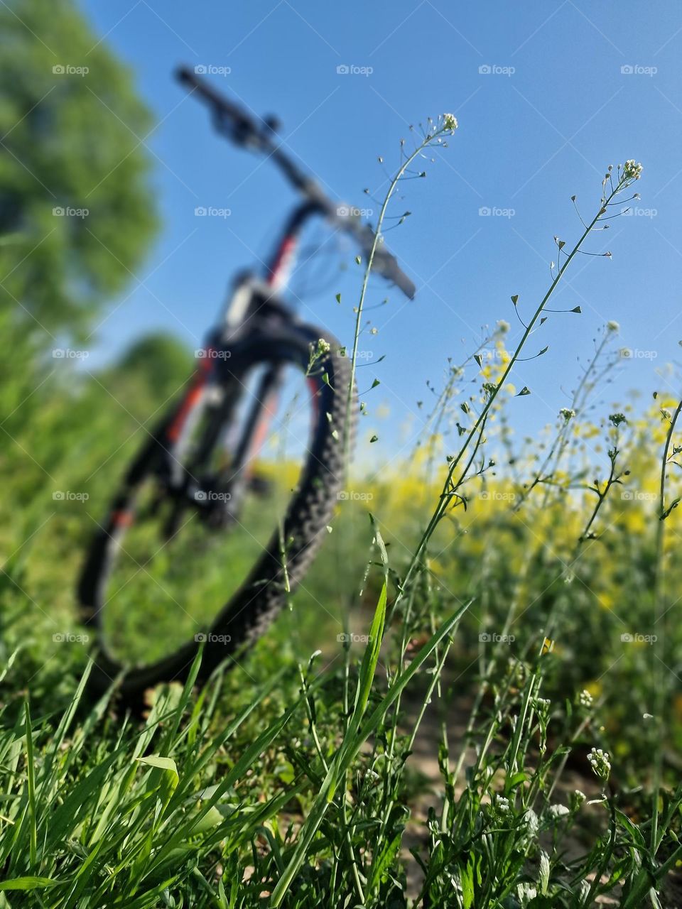 Bicycle on break