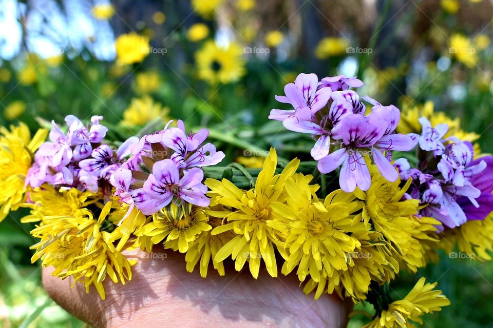 Spring flowers