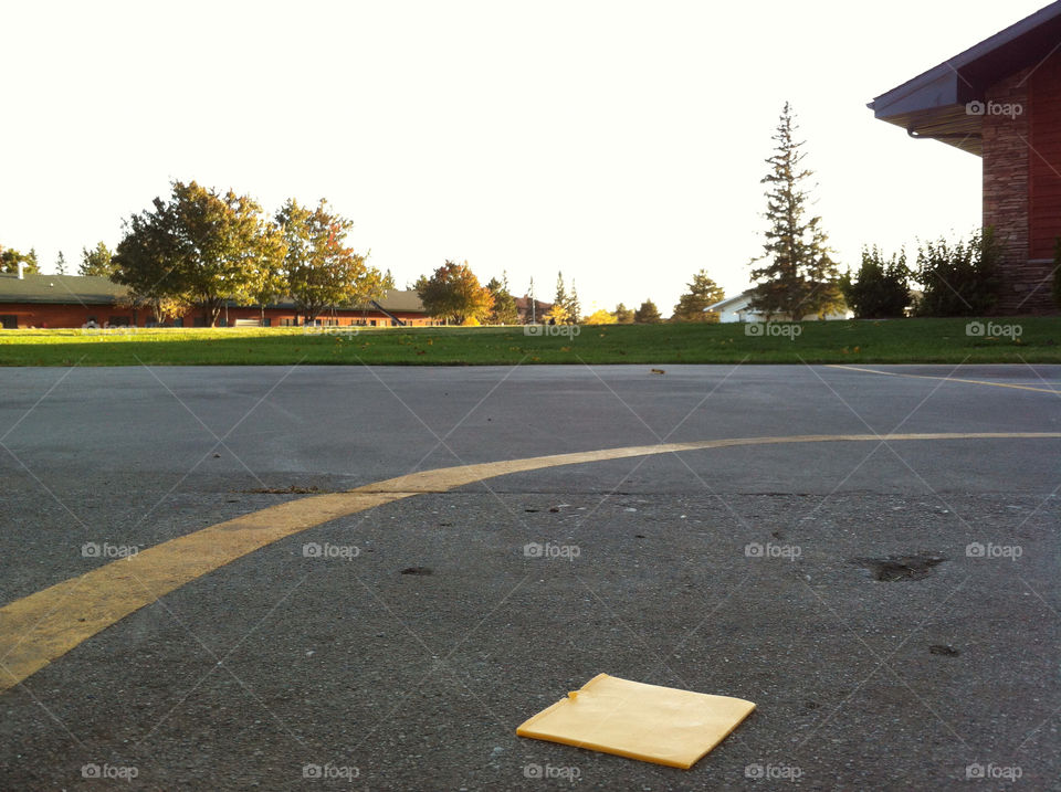 trees cheese sunshine court by mengzishiliu