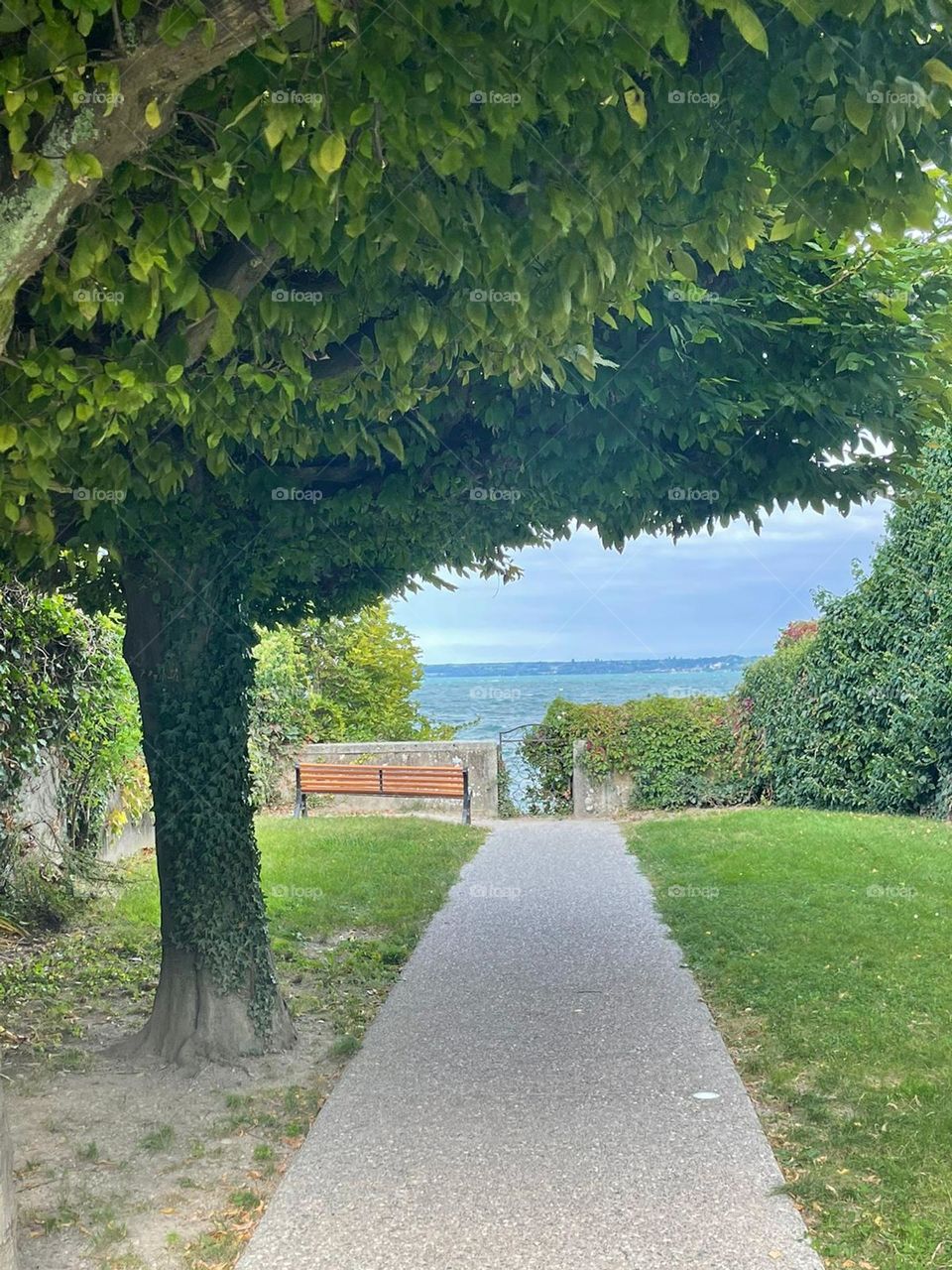 A path under the tree, leading to the sea