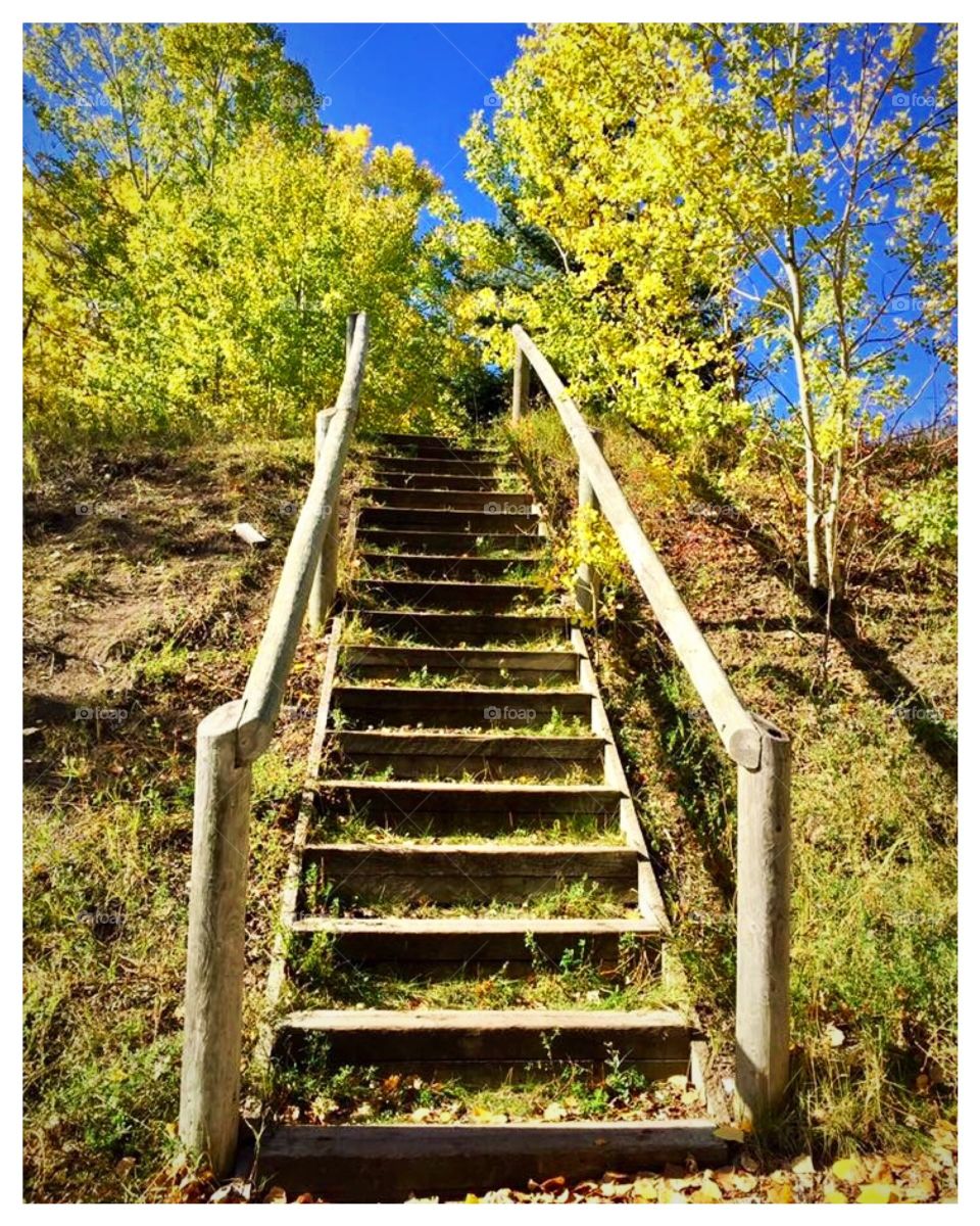 Stairs to Autumn
