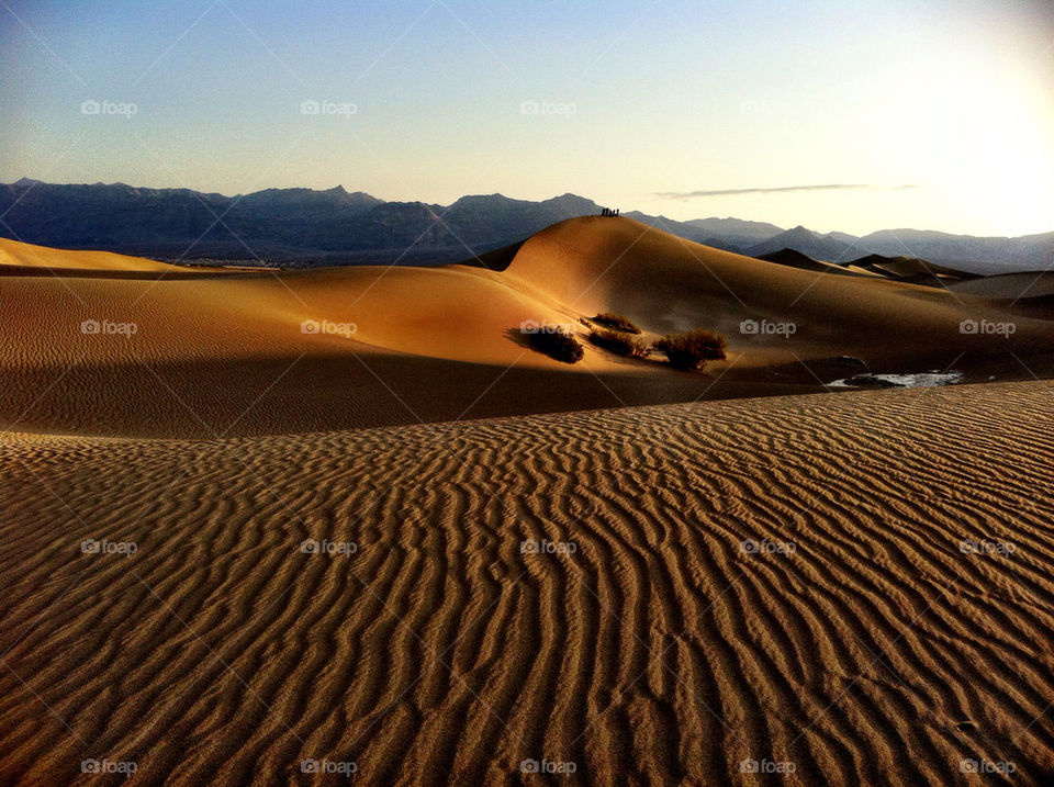sand desert dunes united states by lguarini
