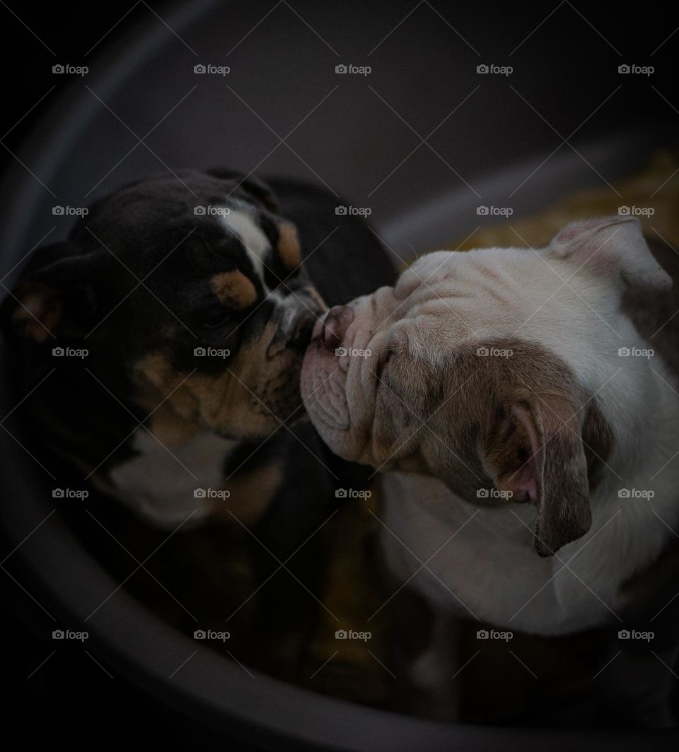 They know only ❤️