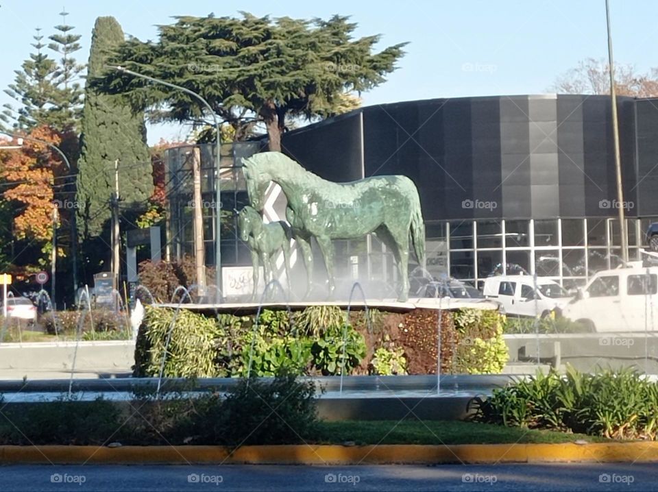 roundabout fountain / fuente de la rotonda