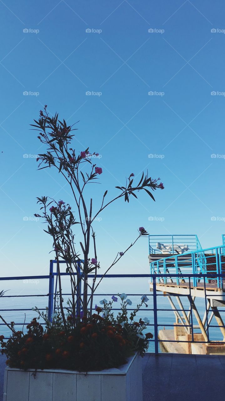 Sky, No Person, Landscape, Tree, Outdoors