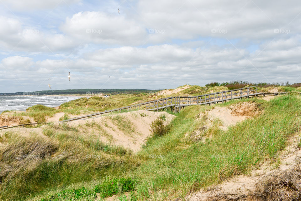 Tylösand beach outside Halmstad in Sweden.