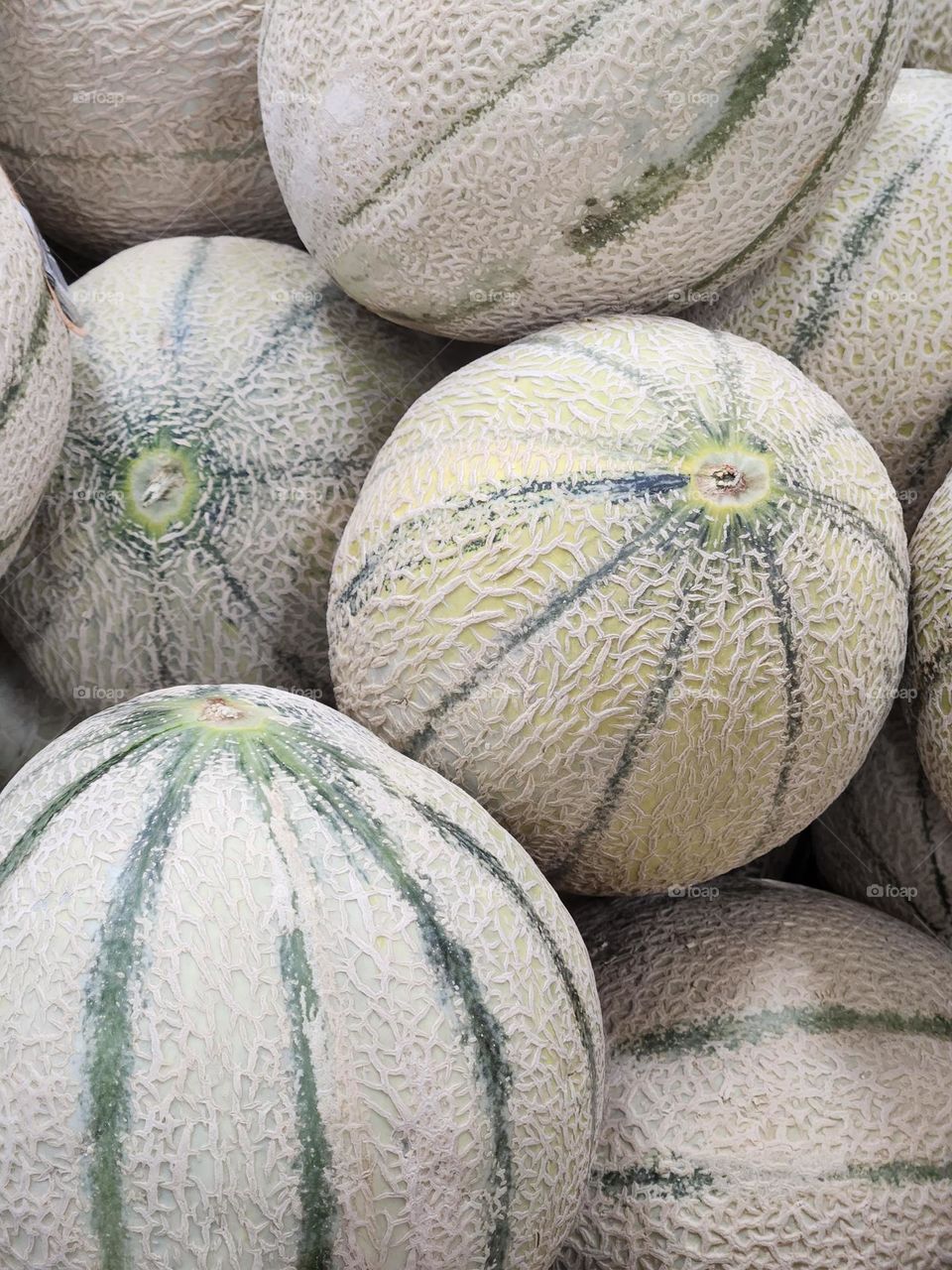 close-up selection of fresh cantaloupe melons from local market